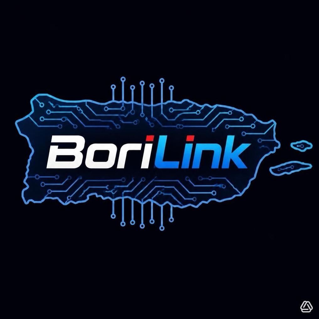 BoriLink